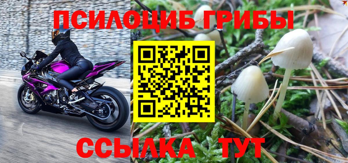 Псилоцибиновые грибы мицелий  Вход с VPN  Тихвин 
